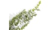 XOOON - COCOmaison - Eucalyptus Hanging Vine H120cm kunstbloem