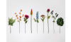 XOOON - COCOmaison - Artichoke Stem H80cm