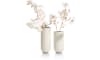XOOON - COCOmaison - Haley Vase H24cm