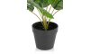 XOOON - COCOmaison - Calathea Orbifolia H45cm Kunstpflanze