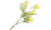 XOOON - COCOmaison - Mimosa Branch H110cm kunstbloem
