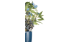 XOOON - COCOmaison - Eucalyptus branch H95cm