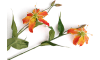 XOOON - COCOmaison - Gloriosa Spray kunstbloem H90cm