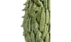 XOOON - COCOmaison - Peas in a pot vase H45cm