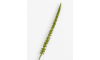 XOOON - COCOmaison - Donkey Tail kunstbloem H86cm