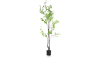 XOOON - COCOmaison - Tropaeolum Kunstpflanze H210cm