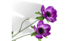 XOOON - COCOmaison - Anemone Spray H75cm Kunstblume