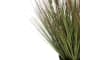 H&H - Coco Maison - Pennisetum Grass plant H58cm