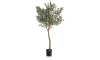 COCOmaison - Coco Maison - Rustikal - Olive Tree H180cm Kunstpflanze