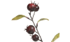 H&H - Coco Maison - Cornus Berry fleur artificielle H100cm
