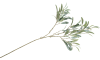 COCOmaison - Coco Maison - Authentique - Olive Leaf Spray H82cm fleur artificielle
