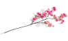 Happy@Home - Coco Maison - Cherry blossom spray H120cm