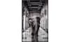 COCOmaison - Coco Maison - Industriell - Walking Elephant Bild 90x140cm