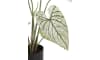 H&H - Coco Maison - Caladium H60cm plante artificielle