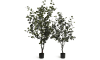 H&H - Coco Maison - Eucalyptus Tree plante artificielle H180cm