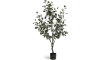 H&H - Coco Maison - Eucalyptus Tree plante artificielle H140cm