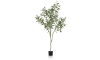 COCOmaison - Coco Maison - Landelijk - Eucalypthus Tree plant H195cm