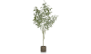 H&H - Coco Maison - Eucalypthus Tree plant H195cm