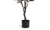 H&H - Coco Maison - Eucalyptus Tree plante artificielle H140cm
