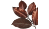 Henders and Hazel - Coco Maison - Mulberry Leaves Kunstblume H85cm