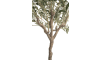 COCOmaison - Coco Maison - Rustikal - Olive Tree 150cm Kunstpflanze
