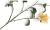 COCOmaison - Coco Maison - Rustikal - Rhododendron Spray Kunstblume H118cm