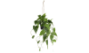 COCOmaison - Coco Maison - Landelijk - Philodendron Scandens H80cm kunstplant