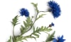 Henders & Hazel - Coco Maison - Centaurea Spray fleur artificielle H100cm