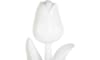 H&H - Coco Maison - Tulip figurine H151cm