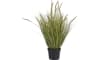 COCOmaison - Coco Maison - Authentique - Pennisetum Grass plant H99cm