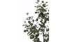 COCOmaison - Coco Maison - Scandinavisch - Eucalyptus Tree kunstplant H140cm