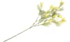 COCOmaison - Coco Maison - Moderne - Mimosa Branch 110cm fleur artificielle