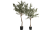 COCOmaison - Coco Maison - Rustikal - Olive Tree 180cm Kunstpflanze