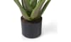Henders & Hazel - Coco Maison - Aloe plant H50cm