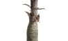 COCOmaison - Coco Maison - Vintage - Alocasia Giant Tree 180cm plante artificielle