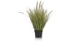 H&H - Coco Maison - Pennisetum Grass plant H99cm