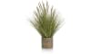 H&H - Coco Maison - Pennisetum Grass plant H99cm