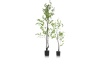 COCOmaison - Coco Maison - Authentique - Tropaeolum plante artificielle H210