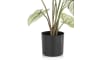 H&H - Coco Maison - Caladium H60cm plante artificielle