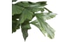COCOmaison - Coco Maison - Rustikal - Palm Fishtail Kunstpflanze H135cm