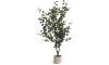 COCOmaison - Coco Maison - Skandinavisch - Eucalyptus Tree Kunstpflanze H180cm