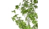 H&H - Coco Maison - Tropaeolum plante artificielle H210