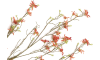XOOON - Coco Maison - Forsythia Branch fleur artificielle H150cm