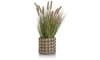 COCOmaison - Coco Maison - Landelijk - Pennisetum Grass plant H58cm
