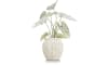 XOOON - Coco Maison - Caladium H60cm plante artificielle