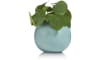 Henders & Hazel - Coco Maison - Plano vase H16cm