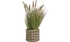 COCOmaison - Coco Maison - Rustikal - Pennisetum Grass plant H58cm
