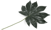 H&H - Coco Maison - Fatsia Leaf fleur artificielle H55cm
