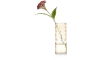 XOOON - Coco Maison - Celosia Spray fleur artificielle H62cm