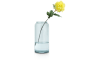 XOOON - Coco Maison - Chrysanthemum H75cm